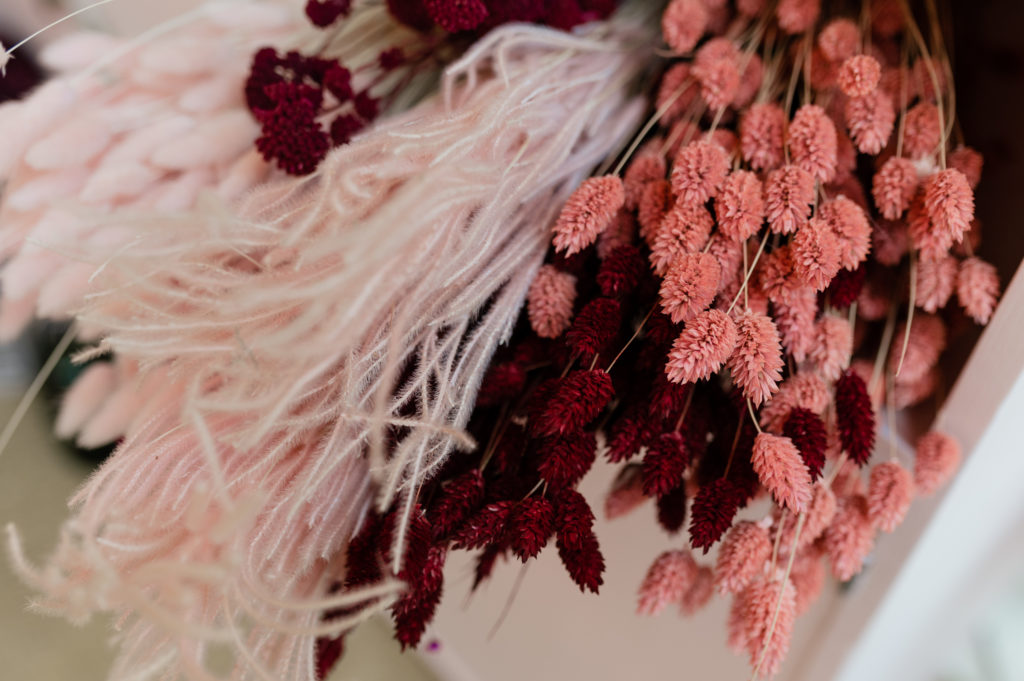 Fleurs séchées