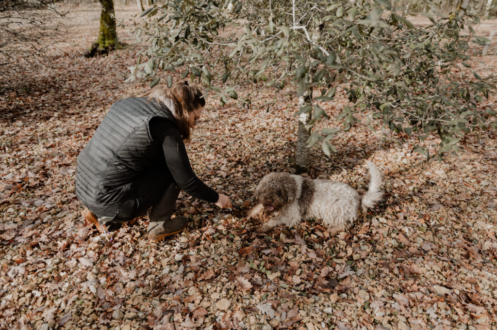 Reportage professionnel Limousin