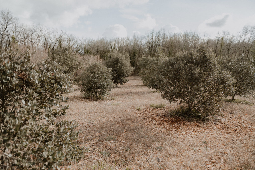 Trufficulture en Périgord