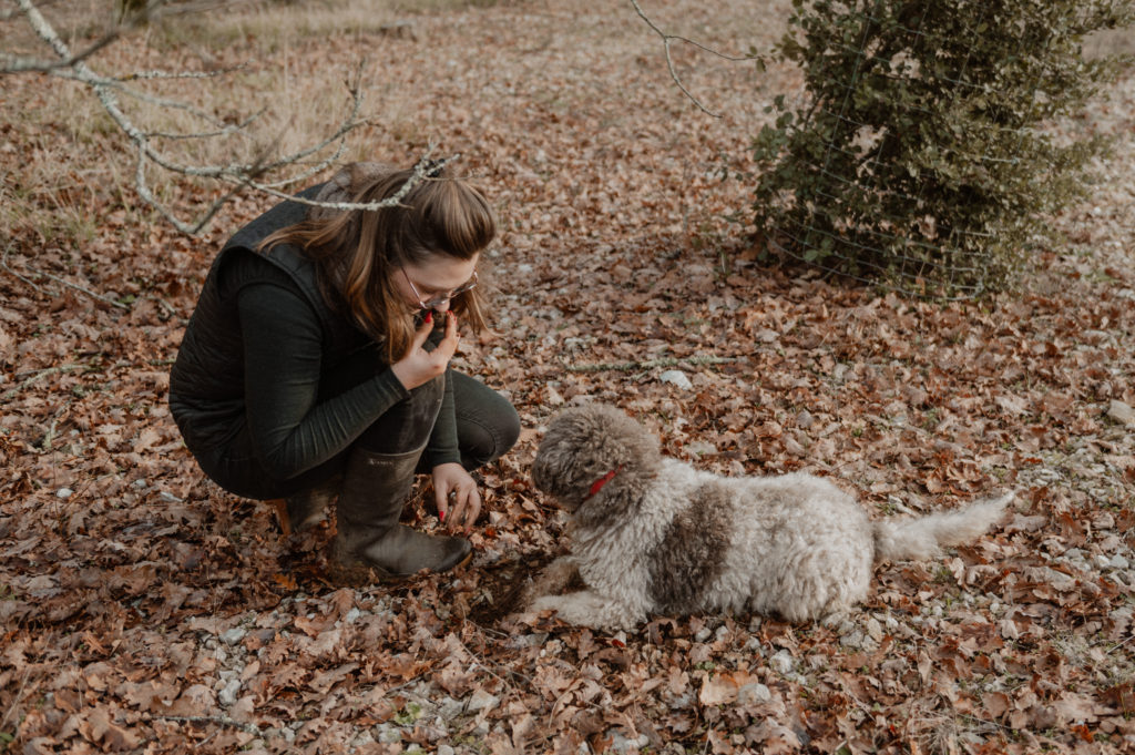 Récolte de truffe