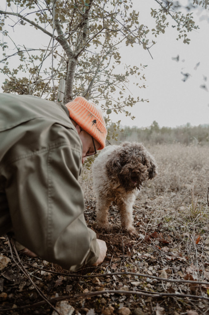 Trufficulteur rammassant une truffe